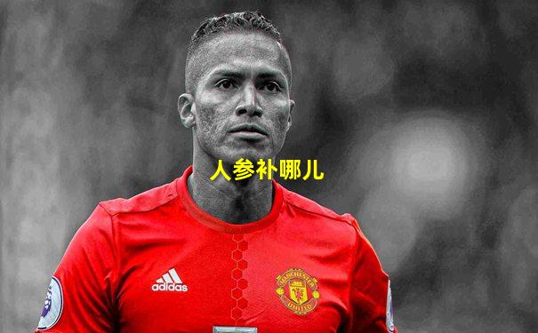 人参补哪儿